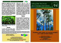 Thumbnail de Eucalyptus crebra: espécie com potencial energético para a região semiárida brasileira.
