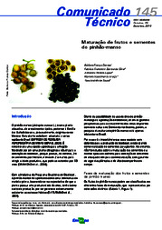 Thumbnail de Maturação de frutos e sementes de pinhão-manso.