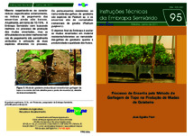 Thumbnail de Processo de enxertia pelo método de garfagem de topo na produção de mudas de goiabeira.