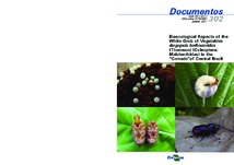 Thumbnail de Bioecological aspects of the white grub of vegetables Aegopsis bolboceridus (Thomson) (Coleoptera: melolonthidae) in the 