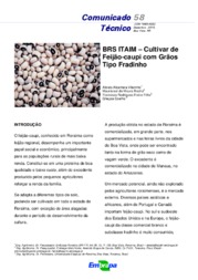Thumbnail de BRS ITAIM: Cultivar de Feijão-caupi com Grãos Tipo Fradinho.