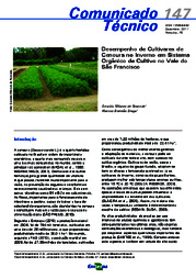 Thumbnail de Desempenho de cultivares de cenoura no inverno em sistema orgânico de cultivo no Vale do São Francisco.