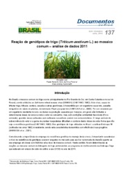 Thumbnail de Reação de genótipos de trigo (Triticum aestivum L.) ao mosaico comum - análise de dados 2011.