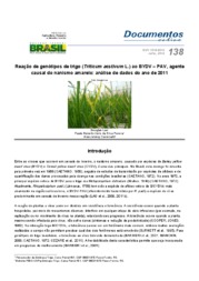 Thumbnail de Reação de genótipos de trigo (Triticum aestivum L.) ao BYDV-PAV, agente causal do nanismo amarelo: análise de dados do ano de 2011.