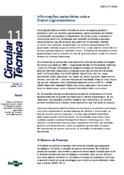 Thumbnail de Informações patentárias sobre etanol lignocelulósico.