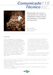 Thumbnail de Metodologia para coleta e manutenção de colônias de Linepithema micans (Forel)(Hymenoptera: Formicidae) em laboratório.