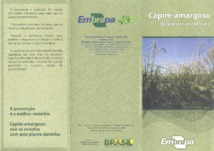 Thumbnail de Capim-amargoso resistente ao glifosato.