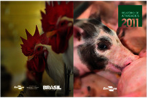 Thumbnail de Relatório de atividades 2011.