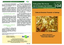 Thumbnail de Coleta de sementes florestais na Caatinga.