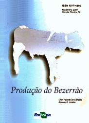 Thumbnail de Produção do bezerrão.