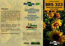 Thumbnail de Cultivar de girassol BRS 323: híbrido com produtividade e precocidade.