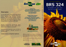 Thumbnail de Cultivar de girassol BRS 324: variedade com alto teor de óleo e precocidade.