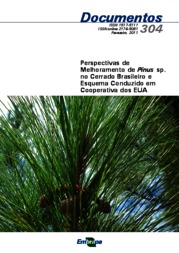 Thumbnail de Perspectivas de melhoramento de Pinus sp. no Cerrado brasileiro e esquema conduzido em cooperativa dos EUA.
