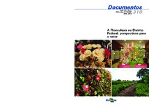 Thumbnail de A floricultura no Distrito Federal: perspectivas para o setor.