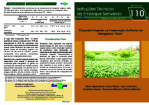 Thumbnail de Coquetéis vegetais na implantação do pomar de mangueiras Kent.