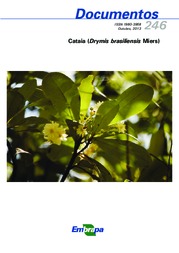 Thumbnail de Cataia (Drimys brasiliensis Miers).