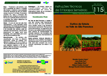 Thumbnail de Cultivo da cebola no Vale do São Francisco.