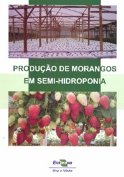 Thumbnail de Produção de morangos em semi-hidroponia.