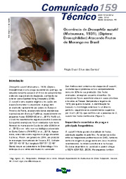 Thumbnail de Ocorrência de Drosophila suzukii (Matsumura, 1931), (Diptera: Drosophilidae) atacando frutos de morango no Brasil.