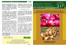 Thumbnail de Cultivo orgânico da cebola no Submédio do Vale do São Francisco: cultivares e fontes de macronutrientes.