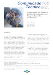 Thumbnail de Traça europeia dos cachos da videira Lobesia botrana: uma praga em expansão nas Américas.