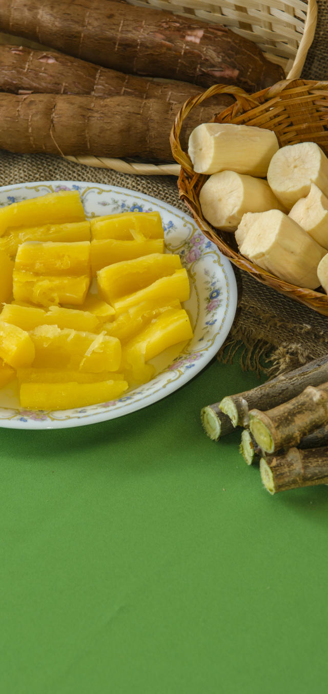 Image of <strong>BRS 399 table cassava </strong>