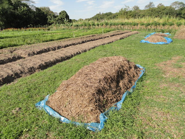 Imagem de Compostagem de Resíduos Agrícolas em leiras estáticas