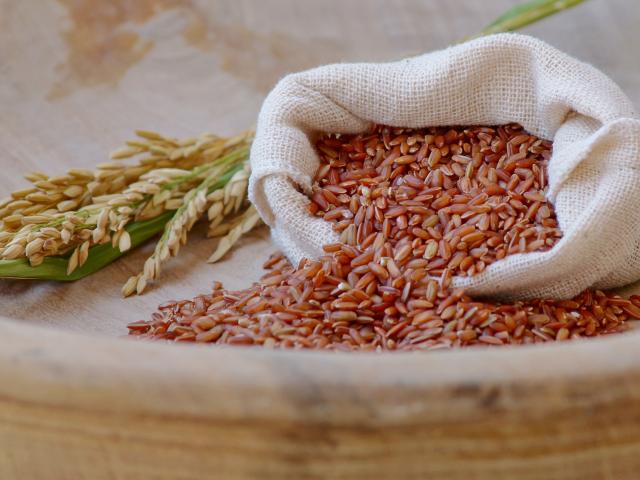 Imagem de Arroz Vermelho BRS - 901