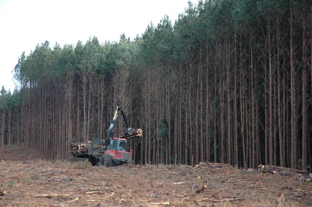 Image of <strong>Nematec</strong>