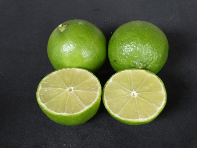 Image of Tahiti acid lime CNPMF 02
