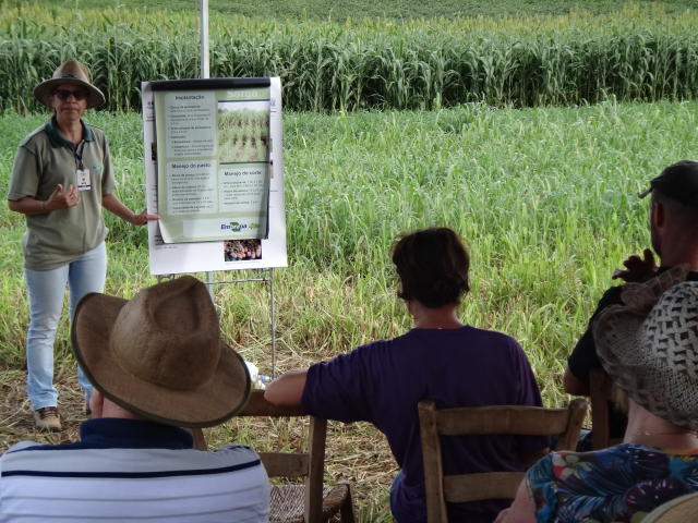 Image of API Responde Agro