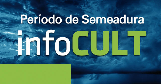 Imagem de Fibra Modificada de Coco para Imobilização de Enzimas