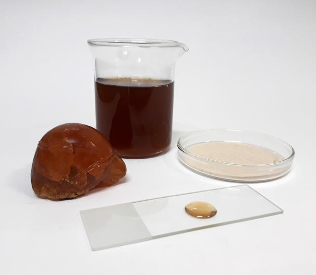 Imagem de Filme biodegradável com celulose bacteriana e lignina de caju para embalagens sustentáveis