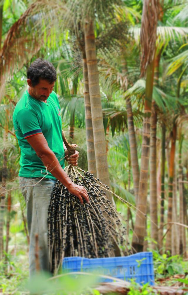 Image of AgroTag MFE
