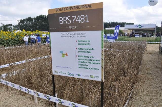 Image of <strong>BRS 7481 Soybeans</strong>