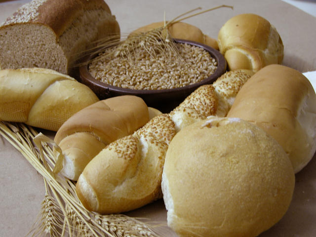 Image of Wheat BRS Jacana