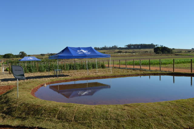 Image of <strong>Multiple use pond</strong>
