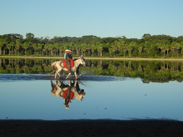 Imagem de Mapeamento de Paisagens em Fazendas de Gado de Corte no Pantanal
