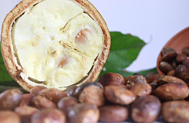 Imagem de Sucos mistos (blends) de frutas amazônicas