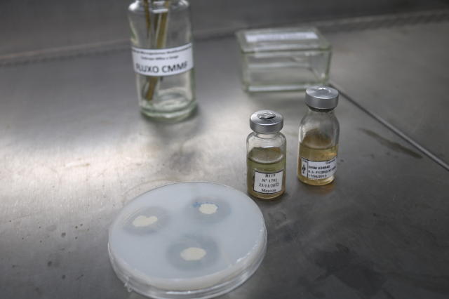 Image of Recomendações de boas práticas para uso do inoculante BiomaPhos® em milho e soja
