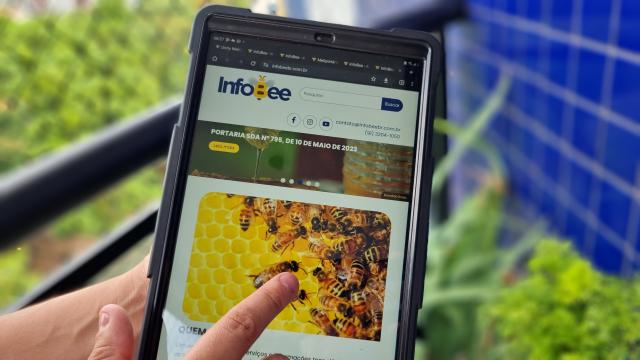 Image of Plataforma Web Infobee