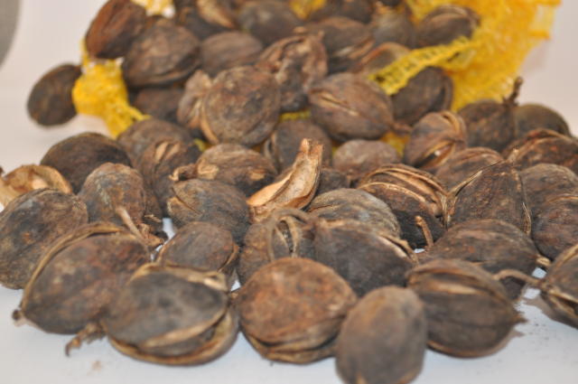 Image of Insumo para ração animal enriquecido com proteína e compostos bioativos, com garantia de segurança (sem toxicidade)