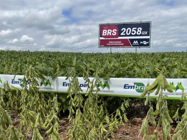 Image of Soja BRS 2058 i2X