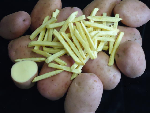Image of Batata BRS F183 (Potira)