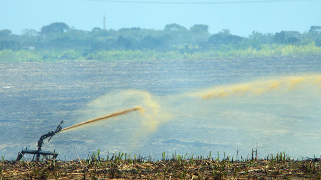 Image of Zoneamento Agroecológico do Estado de Alagoas (ZAAL)