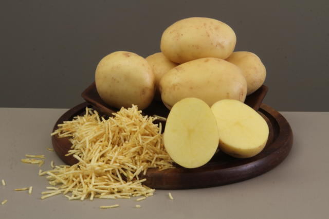 Image of Batata BRS F21 (Braschips)