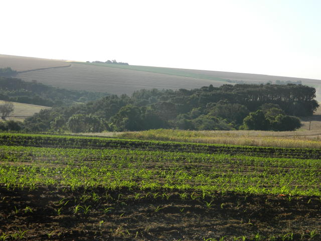Image of Inoculante para grãos, cereais e pastagens