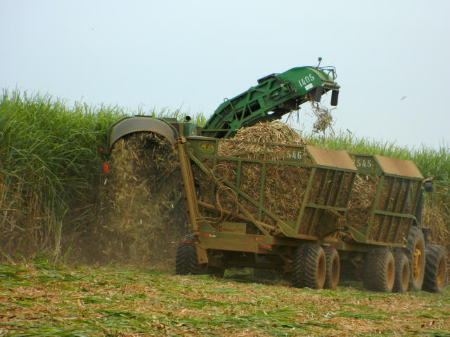 Image of RenovaMap – Geospatial Analysis System to Assess Eligibility under the National Biofuels Policy