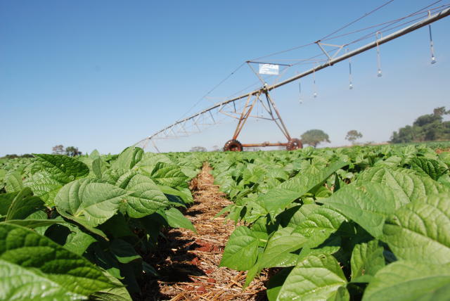Image of Brazilian Agricultural Land Suitability Map at a scale of 1:500,000