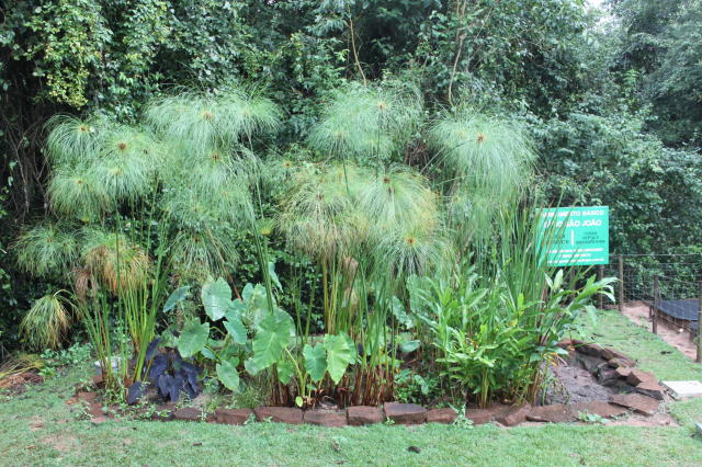 Image of Filter Garden
